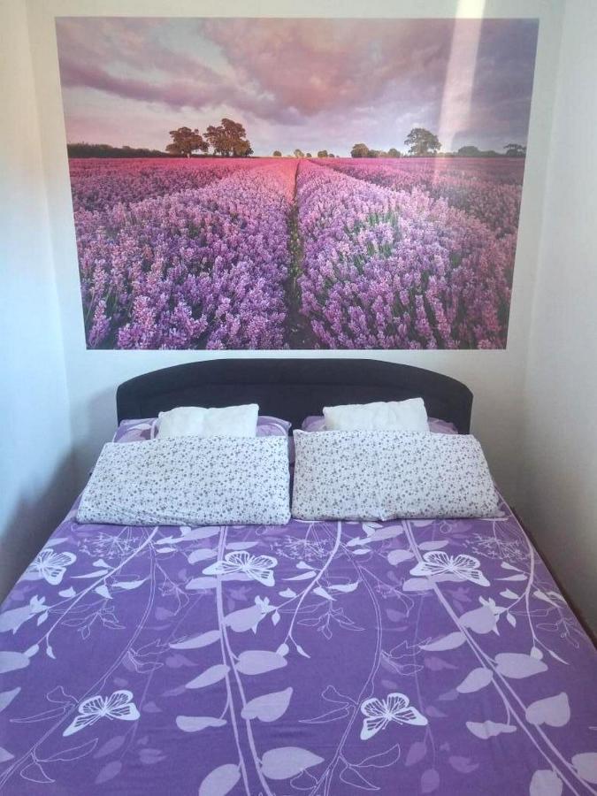 And Lotus Apartment
